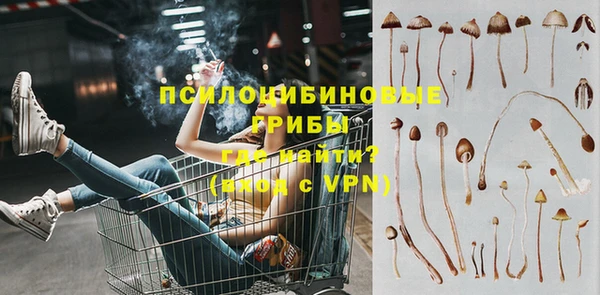 стафф Баксан