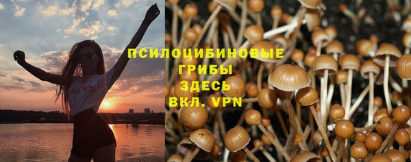 мяу мяу мука Балабаново
