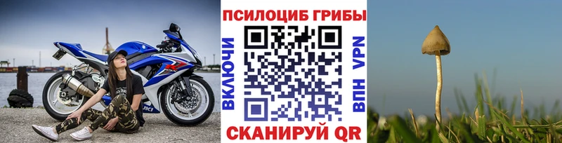 Псилоцибиновые грибы прущие грибы  даркнет сайт  Электросталь 